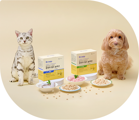 원데이 멀티솔루션 제품